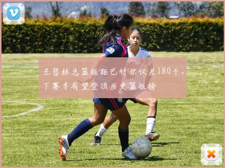 王哲林总篮板距巴特尔仅差180个，下赛季有望登顶历史篮板榜