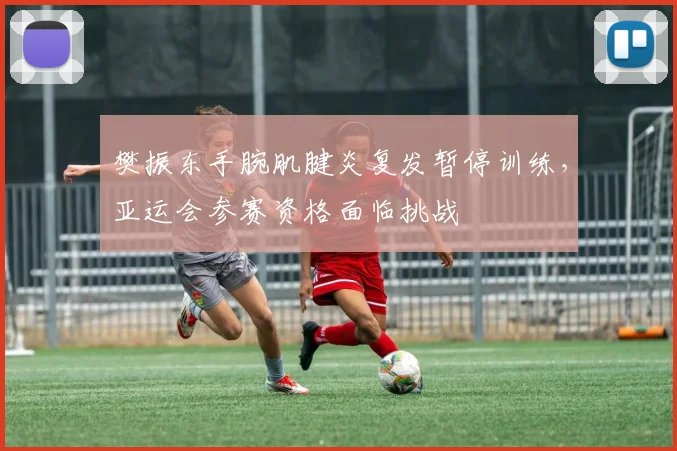 樊振东手腕肌腱炎复发暂停训练，亚运会参赛资格面临挑战